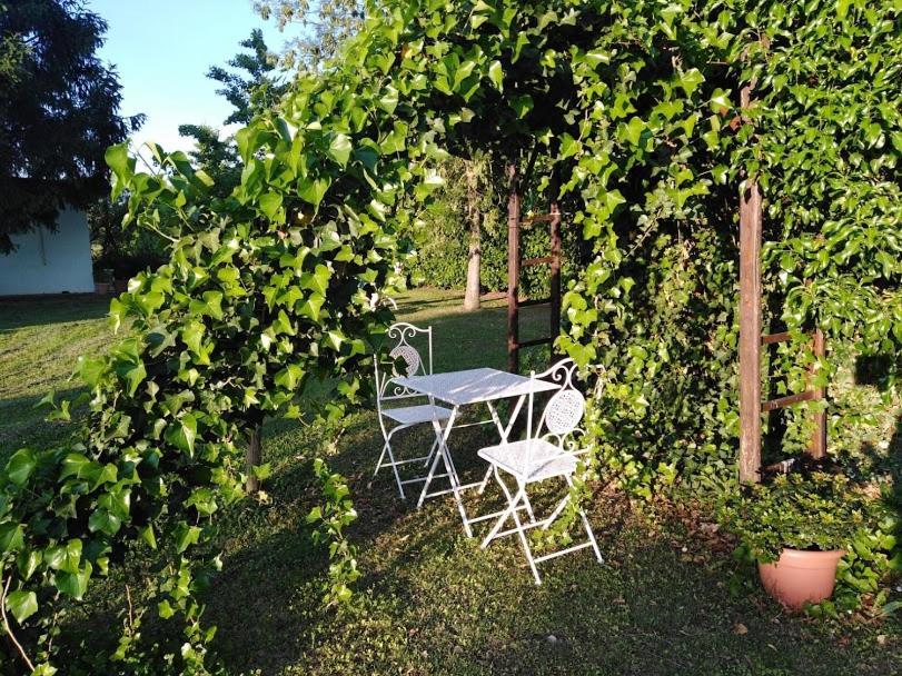 B&B Borgo Del Priolo - Petfriendly Cesena Bagian luar foto